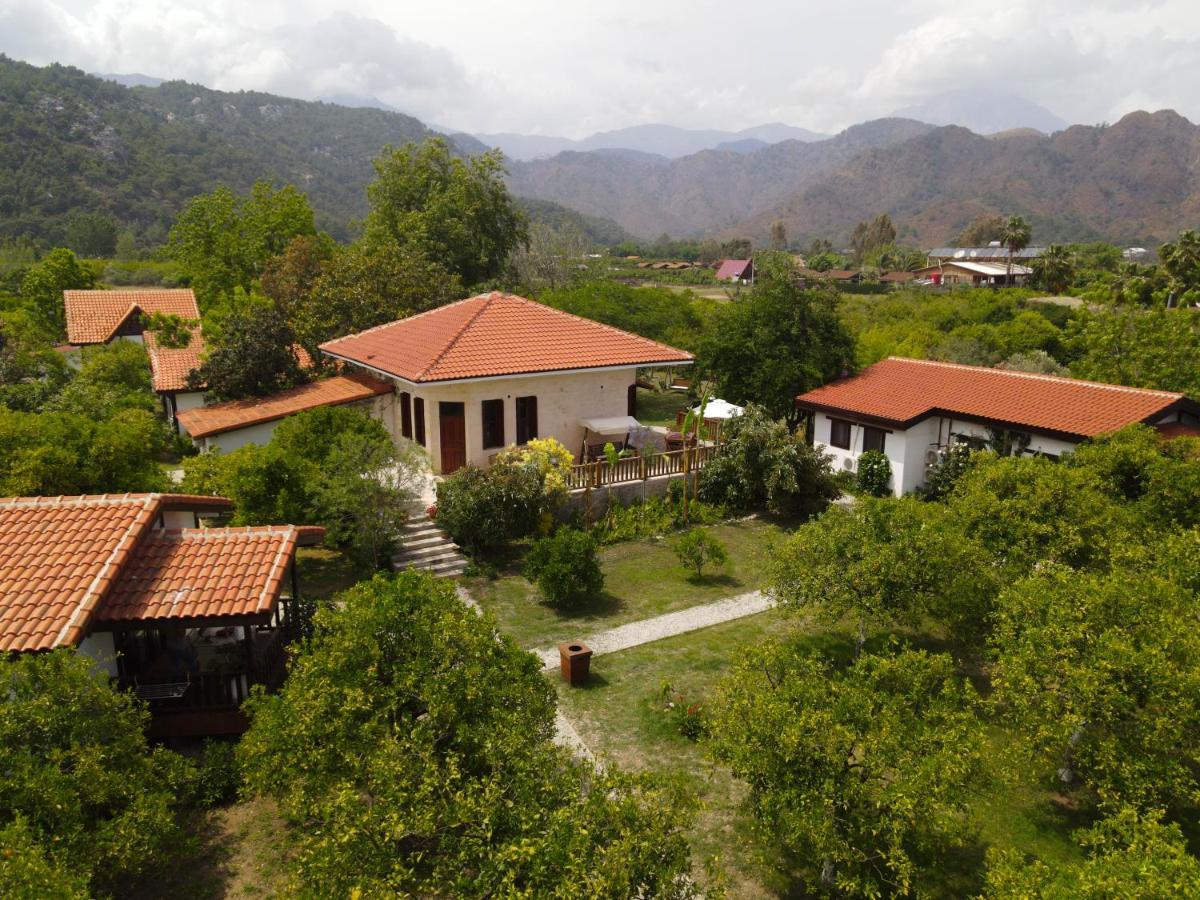 Kimera - Akdeniz Bahcesi Apart Hotel Çıralı エクステリア 写真