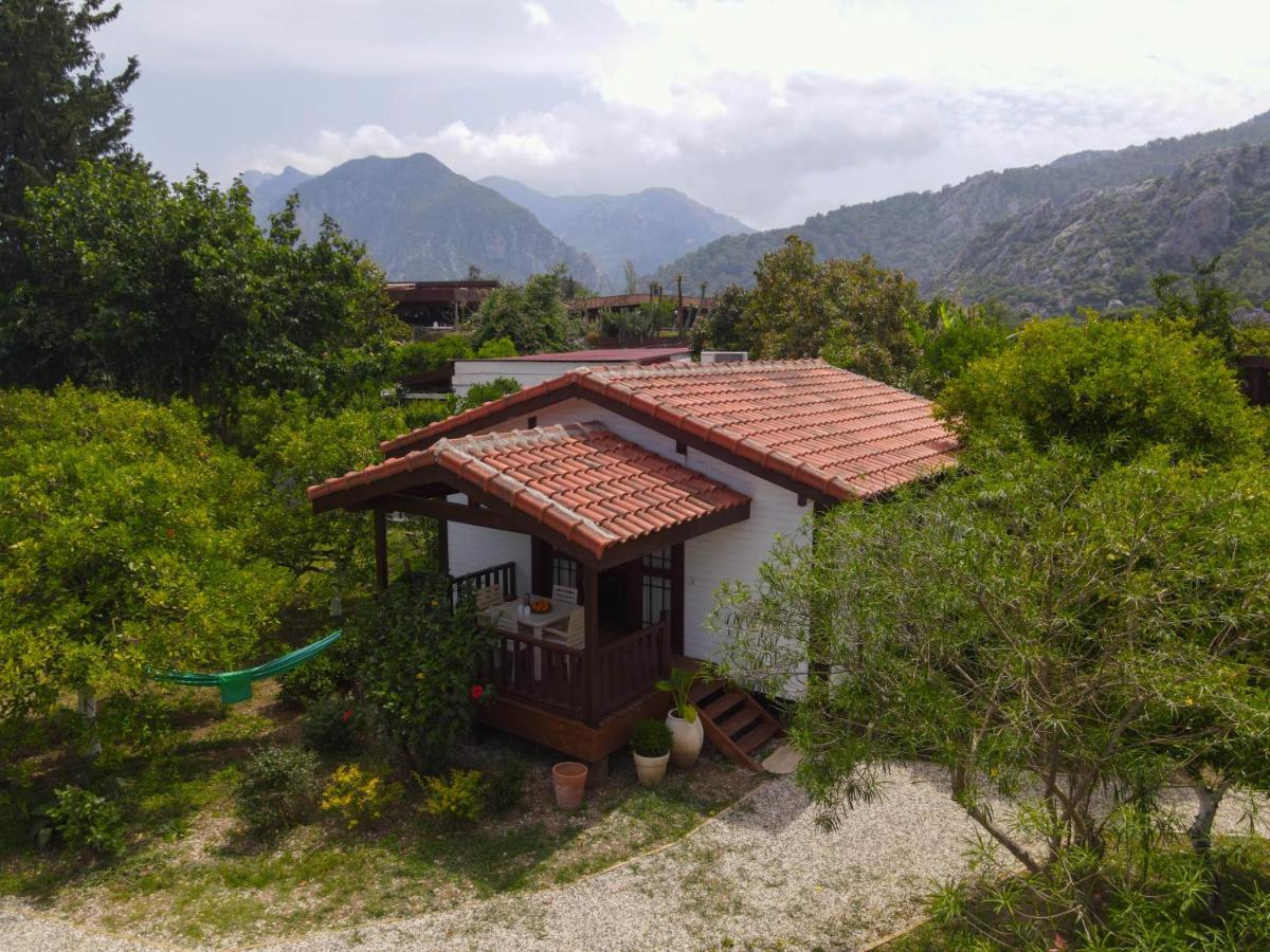 Kimera - Akdeniz Bahcesi Apart Hotel Çıralı エクステリア 写真
