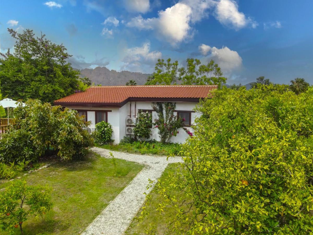 Kimera - Akdeniz Bahcesi Apart Hotel Çıralı エクステリア 写真