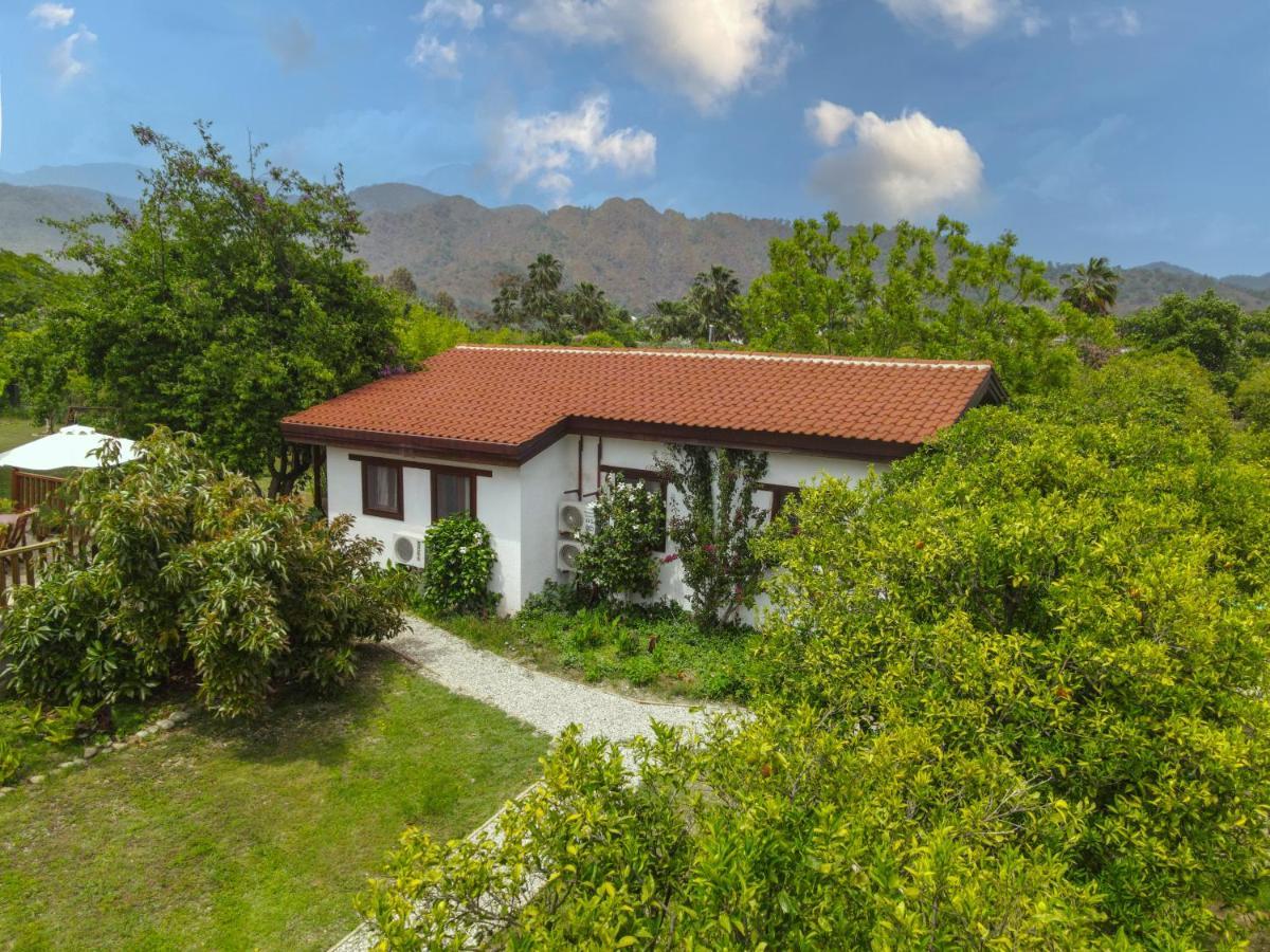 Kimera - Akdeniz Bahcesi Apart Hotel Çıralı エクステリア 写真