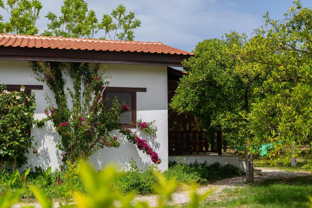 Kimera - Akdeniz Bahcesi Apart Hotel Çıralı エクステリア 写真